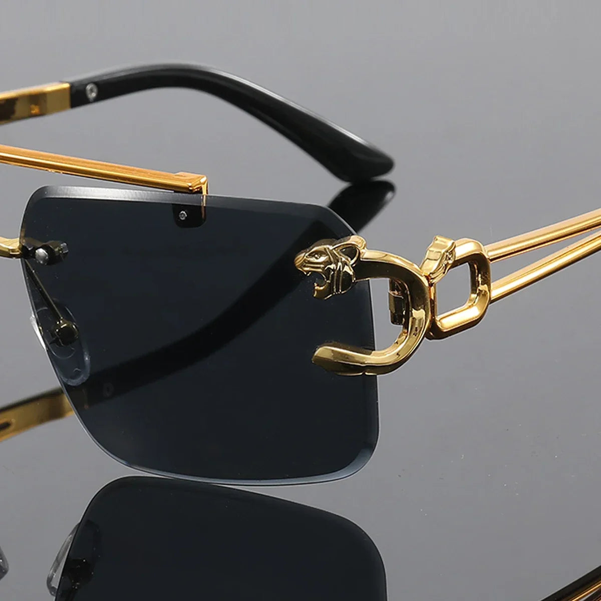 Gafas de sol Zane Tigercut
